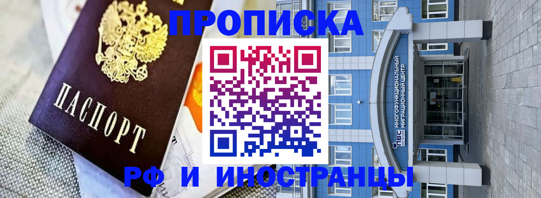 прописка законно в Камешково